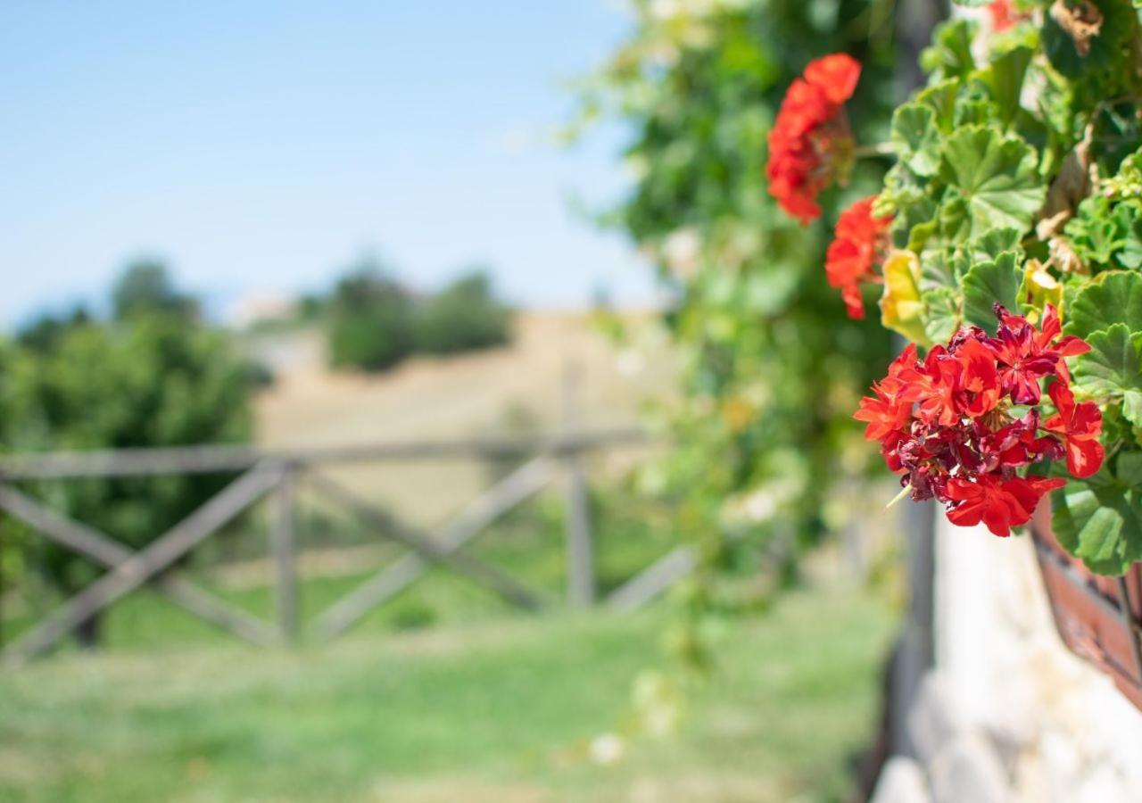 Agriturismo Torre Gialluise Gesualdo Kültér fotó