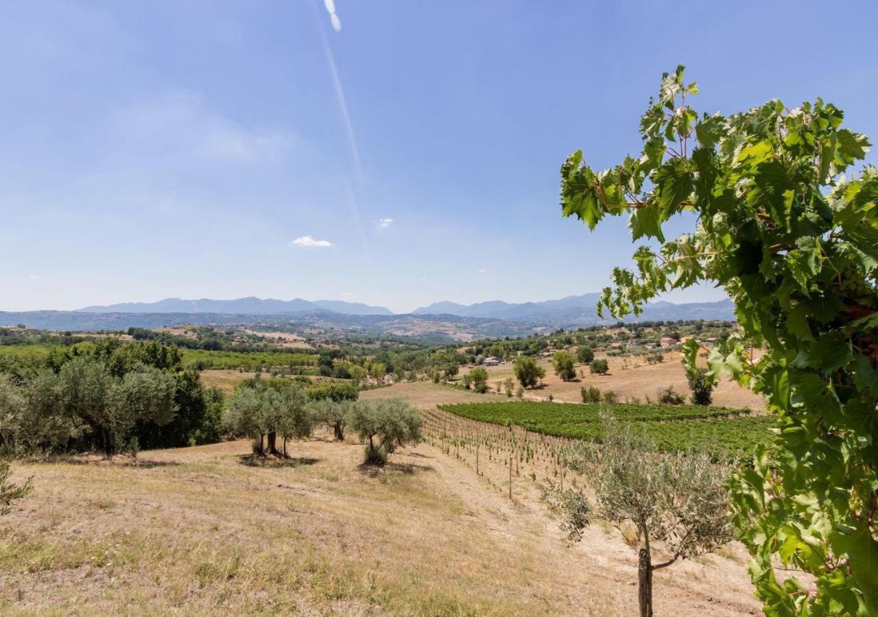 Agriturismo Torre Gialluise Gesualdo Kültér fotó